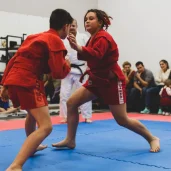 спортивный клуб самбо, дзюдо и художественной гимнастики займемся спортом на улице генерала глаголева изображение 5 на проекте khoroshevomnevniki.ru