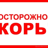 детская поликлиника №94 филиал №2 на бульваре генерала карбышев  изображение 4 на проекте khoroshevomnevniki.ru