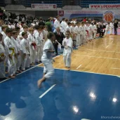 спортивный клуб каратэ сакура изображение 5 на проекте khoroshevomnevniki.ru