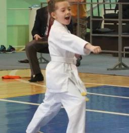 спортивный клуб каратэ сакура изображение 1 на проекте khoroshevomnevniki.ru