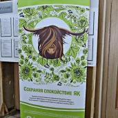 общественная организация ассоциация колопроктологов россии изображение 6 на проекте khoroshevomnevniki.ru