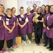 зоосалон для собак милорд на проспекте маршала жукова изображение 7 на проекте khoroshevomnevniki.ru