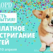зоосалон для собак милорд на проспекте маршала жукова изображение 8 на проекте khoroshevomnevniki.ru