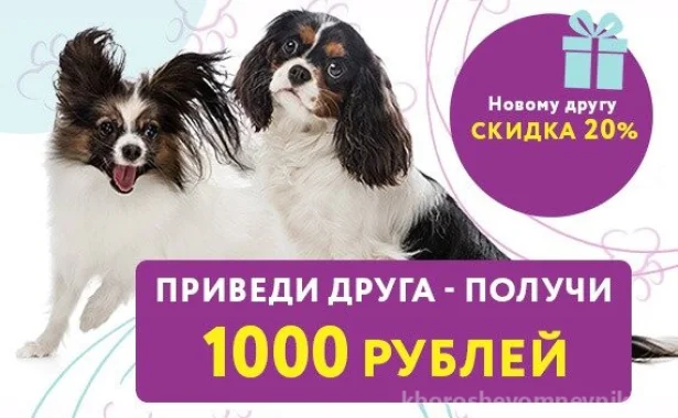 Акция «Приведи друга - получи 1000 рублей»