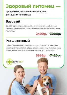 Программа диспансеризации домашних животных