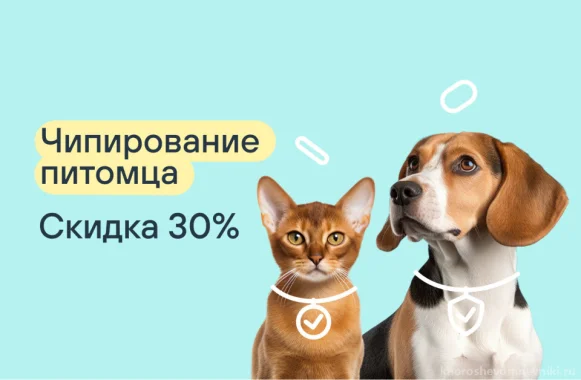 Скидка 15% на чипирование питомца