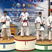 центральная школа каратэ в хорошево-мневниках изображение 10 на проекте khoroshevomnevniki.ru