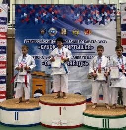 центральная школа каратэ в хорошево-мневниках изображение 2 на проекте khoroshevomnevniki.ru
