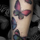 тату-салон custom-tattoo изображение 5 на проекте khoroshevomnevniki.ru