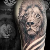 тату-салон custom-tattoo изображение 6 на проекте khoroshevomnevniki.ru