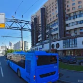 стоматологическая клиника бэби вита дент на проспекте маршала жукова изображение 20 на проекте khoroshevomnevniki.ru