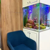 стоматологическая клиника бэби вита дент на проспекте маршала жукова изображение 8 на проекте khoroshevomnevniki.ru