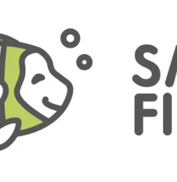частный детский сад smile fish в хорошево-мневниках  на проекте khoroshevomnevniki.ru